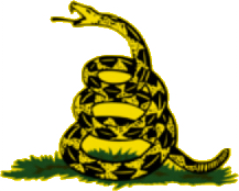 "Don't Tread On Me"